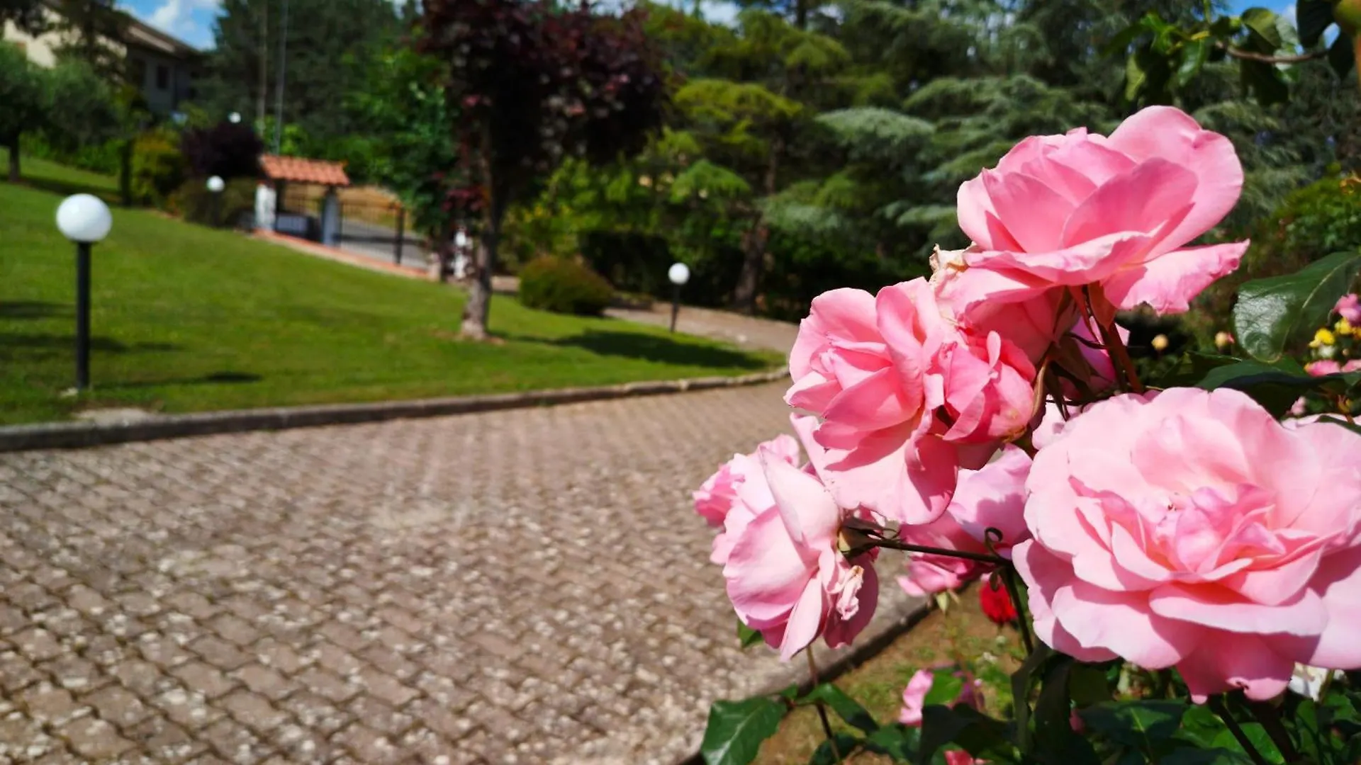 Casa Del Carmine Villa Anghiari Holiday home